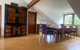 Wunderschoenes Grosses 3 Zimmer Apartament Zentrum Goldstadt Familienfreundlich Mit Garage